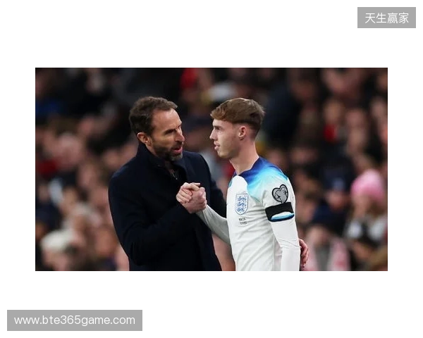 图赫尔谈10号位:一阶段考察帕尔默&福登;二阶段贝林&罗杰斯 图赫尔谈10号位:一阶段考察帕尔默&福登;二阶段贝林&罗杰斯